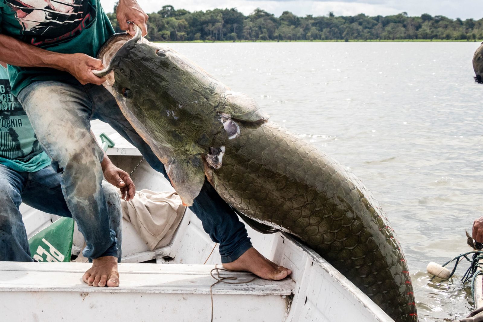 Festival Gosto da Amazônia chega a Belém  