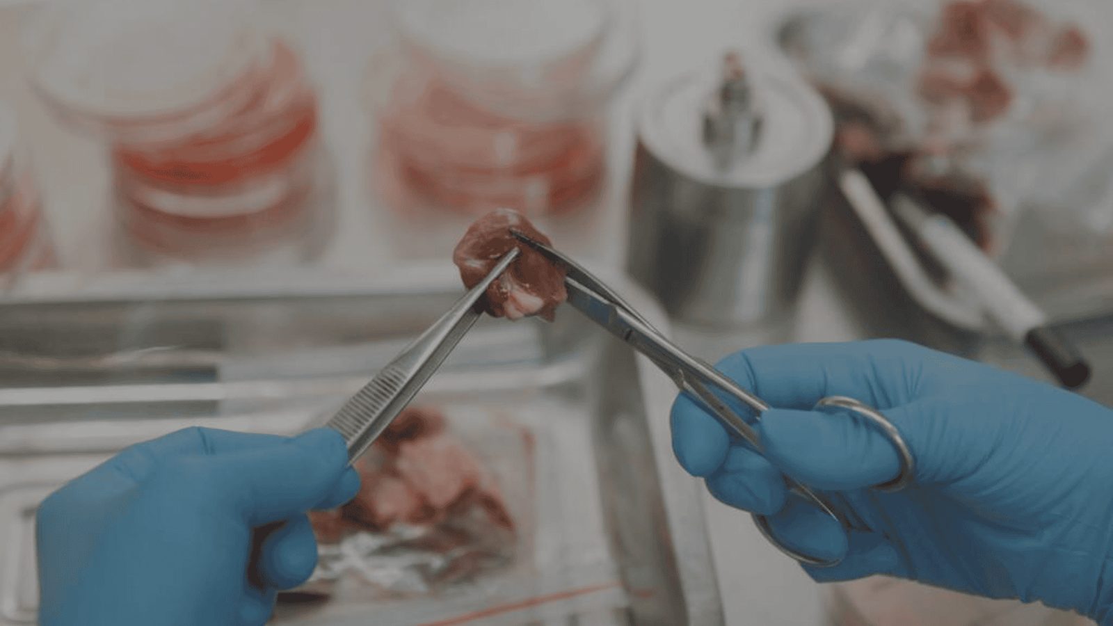 Carne de laboratório: o futuro do food service?