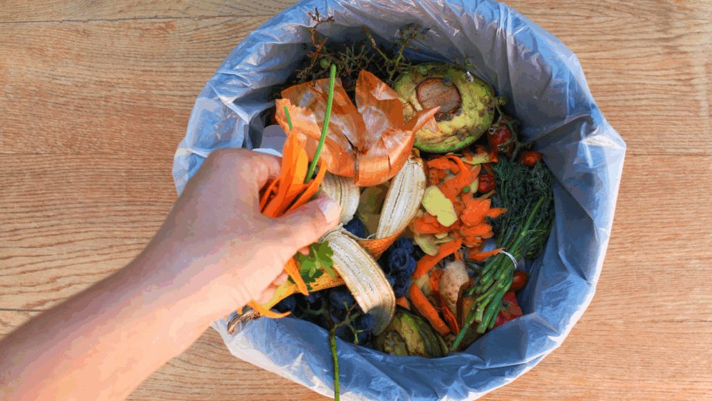 Perda e Desperdício de Alimentos no Food Service: um alerta no Dia Internacional da Conscientização