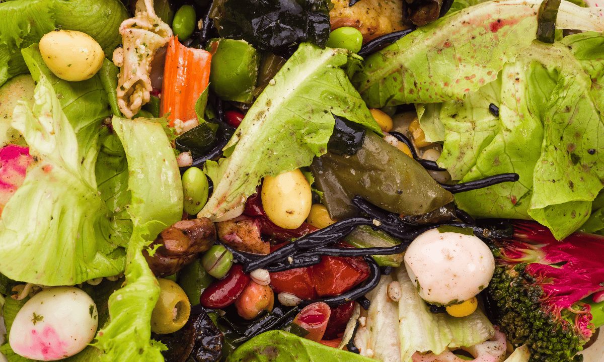🌱🚛 Reduzindo o Desperdício de Alimentos com Logística Eficiente no Brasil 🚛🌱